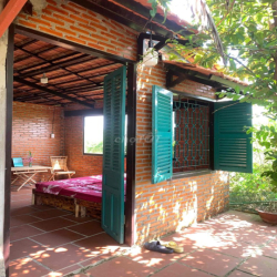 Cho thuê nhà vườn Cần Giuộc,HXH,có ao cá, làm homestay, vlog, tikkok