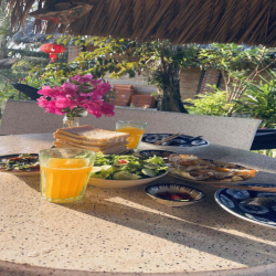 Cho thuê nhà vườn Cần Giuộc,HXH,có ao cá, làm homestay, vlog, tikkok