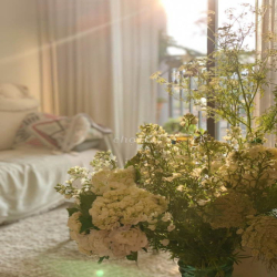 Cho Thuê CH Mới 100% Full Nội Thất Dọn Vào Ở Ngay Him Lam Phú An 10 TR
