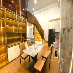 Cho thuê chung cư cao tầng thiết kế duplex 2 tầng  diện tích 48m2