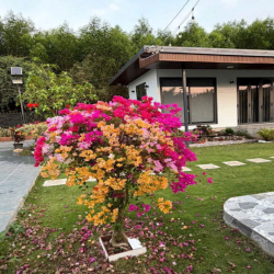 Bánnhà nghỉ dưỡng tuyệt đẹp LONG Tân chỉ1tỷ 850-1000m2 long tân-bà rịa