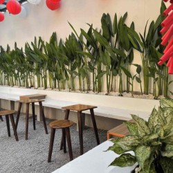 CHO THUÊ NHÀ CÓ 602/2 ĐIỆN BIÊN PHỦ PHƯỜNG 22 QUẬN BÌNH THẠNH