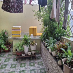 Cho thuê nhà quận Bình Tân hẻm xe hơi 6m, nhà mới, gần trường, chợ, bv