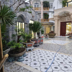 🔰CHO THUÊ VILA MẶT TIỀN ĐƯỜNG BÙI QUANG LÀ P12 GV