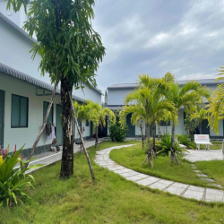 Cho thuê Mini House - Sân vườn - Máy lạnh