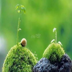 NHÀ RỘNG SÁT MẶT TIỆN, DT 40m2, 1 TRỆT 1 LẦU, HỢP KD ONLINE KHO HÀNG