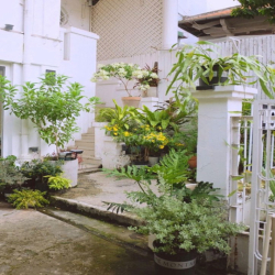 CHO THUÊ BIỆT THỰ TÚ XƯƠNG Q3, DT 8x12M NỞ HẬU, TRỆT 2 LẦU, GIÁ 70TR