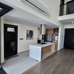 Cho thuê Duplex 2Pn