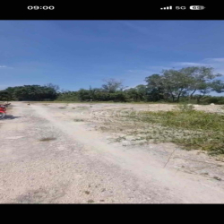 Cho thuê 6000m2 đã san lấp làm kho bãi ký lâu dài