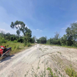 Cho thuê 6000m2 đã san lấp làm kho bãi ký lâu dài