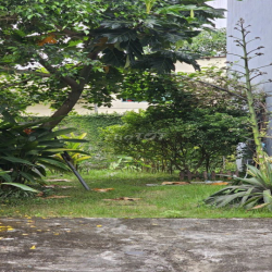 Cho thuê  đất giá 5tr5