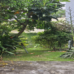 Cho thuê  đất giá 5tr5