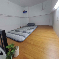 CHO THUÊ DUPLEX MỚI XÂY GULL NỘI THẤT CỬA SỔ TRỜI QUANG TRUNG GÒ VẤP