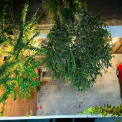 cho thuê villa hồ bơi sân vườn sát biển full nội thất cao cấp