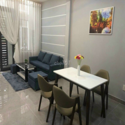 Cho thuê biệt Thự Mini 12B Hoa Đào, P.2, Q. Phú Nhuận