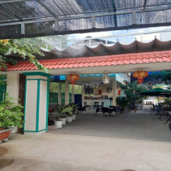 CHO THUÊ MẶT BẰNG QL N2- ĐỨC HÒA - LONG AN