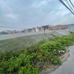 CẦN SANG VƯỜN TRỒNG RAU SẠCH 4300m2 giá sang 60 triệu, giá thuê 5trieu