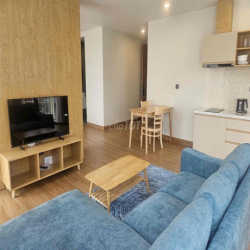 Cho thuê căn hộ 1PN ban công rộng Full NT gần VH Mall Q10