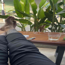 cho thuê đất nông nghiệp