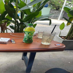 cho thuê đất nông nghiệp