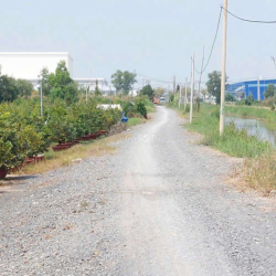 cho thuê 9500m2 đất MT kênh đường Vườn Thơm xã bình Lợi 