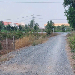 cho thuê 9500m2 đất MT kênh đường Vườn Thơm xã bình Lợi 