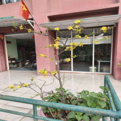 cho thuê nhà mặt tiền rộng thoáng mát đậu xe hơi thoải mái