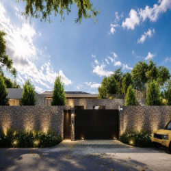 🏡 CHO THUÊ BIỆT THỰ SÂN VƯỜN ĐẲNG CẤP ĐƯỜNG HUỲNH MẪN ĐẠT, QUẬN 5 🌿