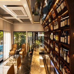 🏡 CHO THUÊ BIỆT THỰ SÂN VƯỜN ĐẲNG CẤP ĐƯỜNG HUỲNH MẪN ĐẠT, QUẬN 5 🌿