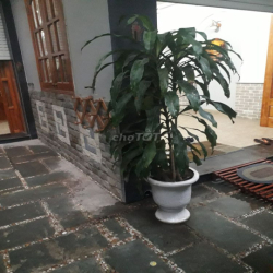 Cho thuê Biệt thự Cao Lỗ (Đồng Diều), P.4, Q. 8.