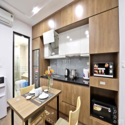 Cho thuê CHDV full đồ 01 ngủ 01 khách mới ở phố đi bộ Trịnh Công Sơn,