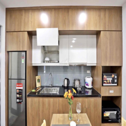 Cho thuê CHDV full đồ 01 ngủ 01 khách mới ở phố đi bộ Trịnh Công Sơn,