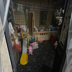 Thuê nhà nguyên căn Thuỵ Khuê