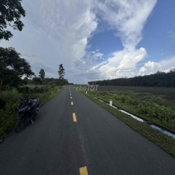 cho thuê đất mặt tiền bùi thị điệt, làm xưởng