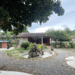 CHO THUÊ NHÀ Ở KINH DOANH SÂN VƯỜN 1000m2 PHÍA BẮC NHA TRANG