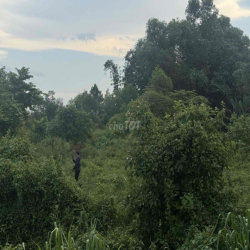 cho thuê đất mặt tiền bùi thị điệt, làm xưởng