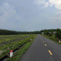 cho thuê đất mặt tiền bùi thị điệt, làm xưởng