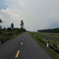 cho thuê đất mặt tiền bùi thị điệt, làm xưởng