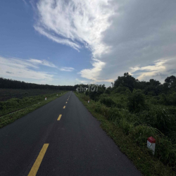 cho thuê đất mặt tiền bùi thị điệt, làm xưởng