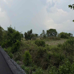 cho thuê đất mặt tiền bùi thị điệt, làm xưởng