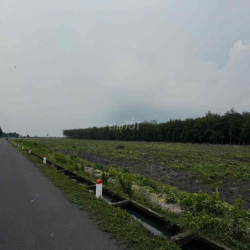 cho thuê đất mặt tiền bùi thị điệt, làm xưởng