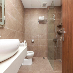 Cho thuê căn hộ full đồ 02 ngủ 120m2 ngõ 11 Tây Hồ