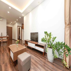 Cho thuê căn hộ full đồ 02 ngủ 120m2 ngõ 11 Tây Hồ
