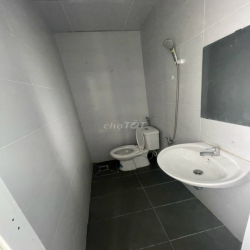 Cho thuê phòng chdv