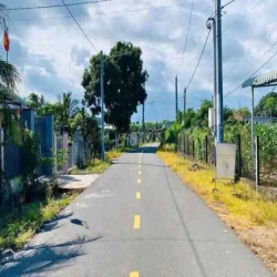 Cần bán nhà vườn .và căn nhà cấp 4