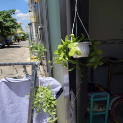 Sang nhà cho thuê làm tiệm nail nhỏ giá 5tr