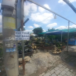 Cần sang mặt bằng cây cảnh non bộ .