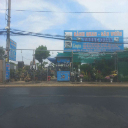 Cần sang mặt bằng cây cảnh non bộ .