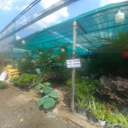 Cần sang mặt bằng cây cảnh non bộ .