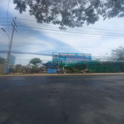 Cần sang mặt bằng cây cảnh non bộ .